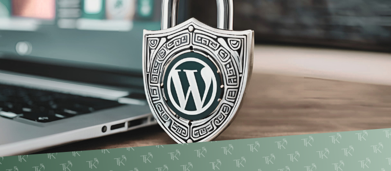 WordPress Sicherheit: So schützt du deine Website vor Hackern