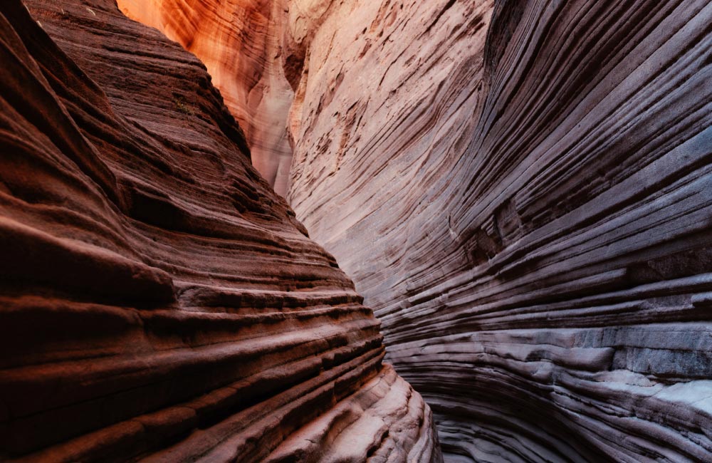 Kostenlose Bilder - Unsplash | © Samule Sun / Unsplash
