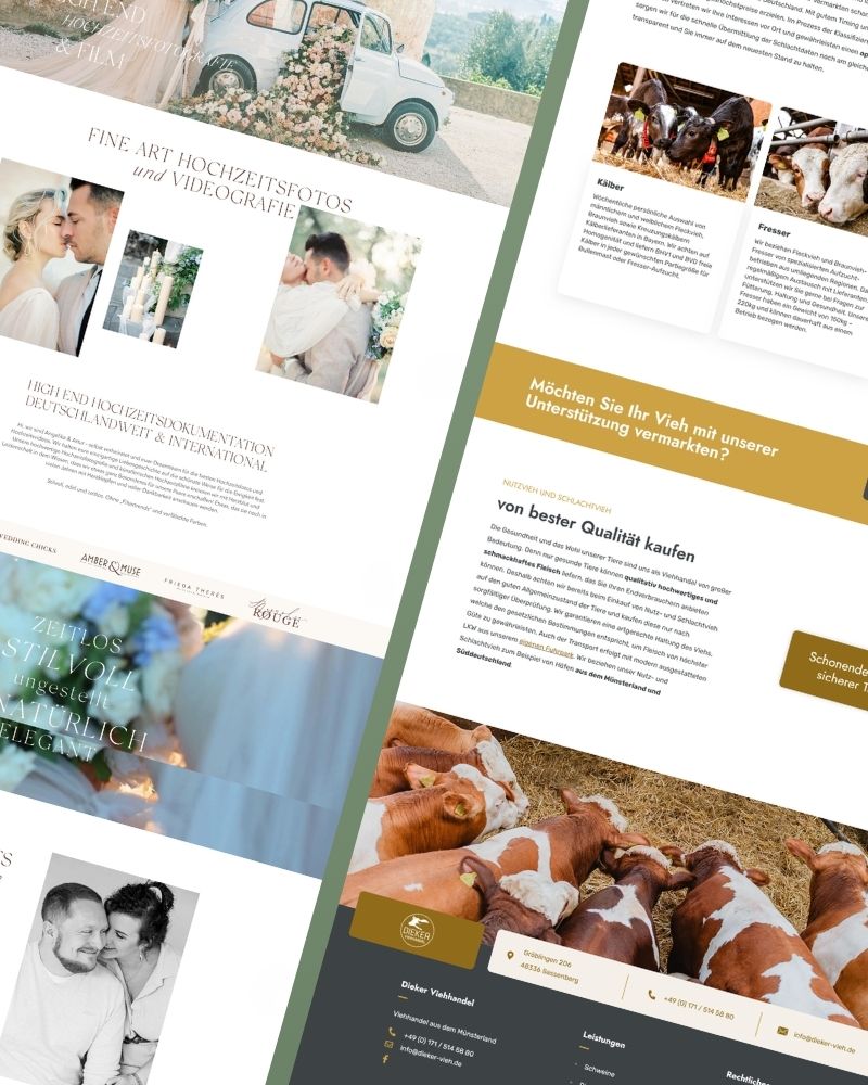 Website erstellen lassen - Witten, Dortmund