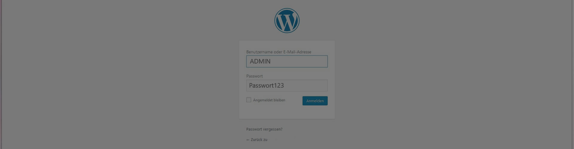 Wordpress-sicherer-machen-passwort